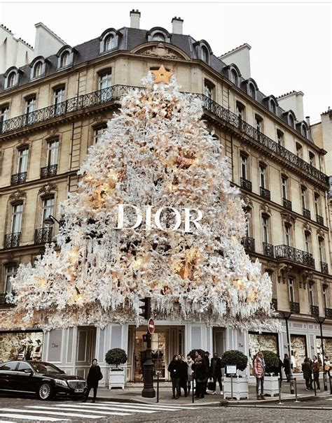 where is the dior tree